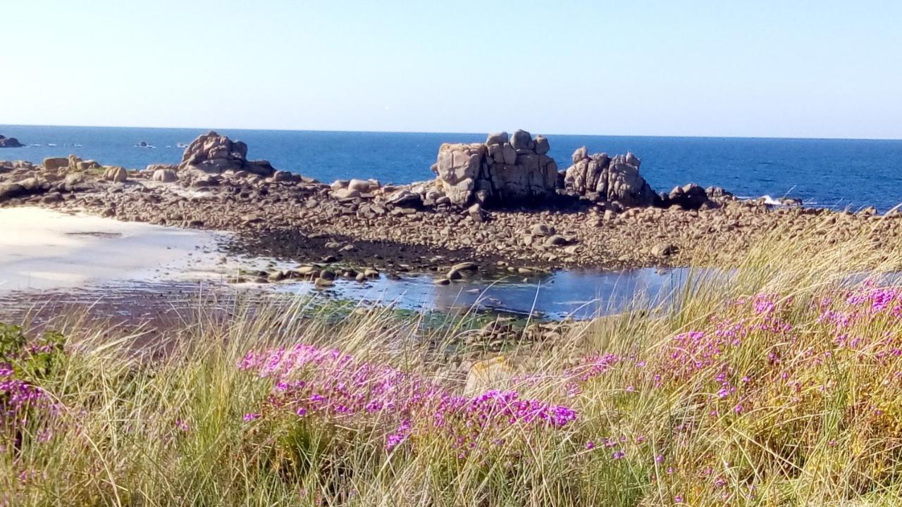 Tiny House Sur La Cote Bretonne Villa Cléder Eksteriør billede